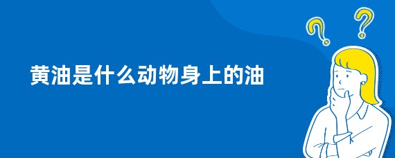 黄油是什么动物身上的油