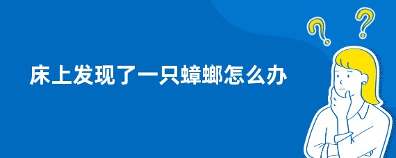 床上发现了一只蟑螂怎么办