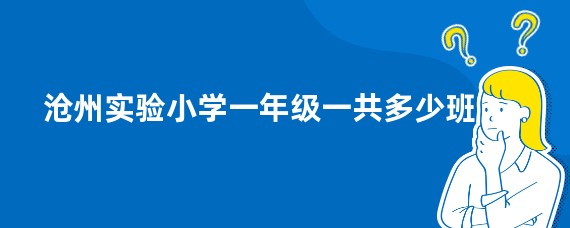 沧州实验小学一年级一共多少班