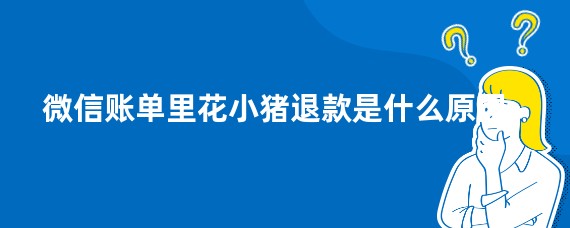 微信账单里花小猪退款是什么原因