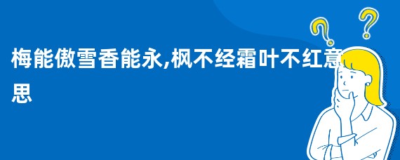 梅能傲雪香能永,枫不经霜叶不红意思