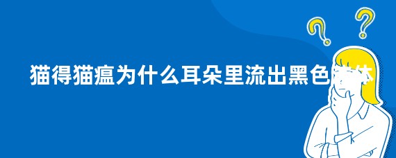 猫得猫瘟为什么耳朵里流出黑色液体