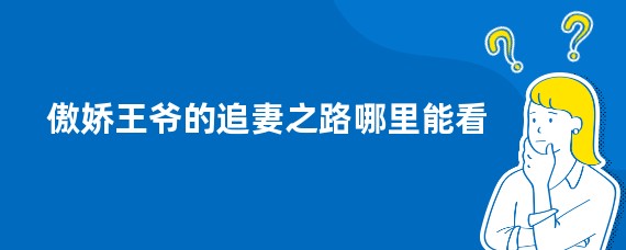 傲娇王爷的追妻之路哪里能看