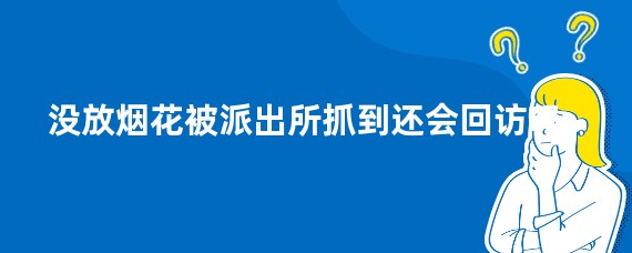 没放烟花被派出所抓到还会回访吗