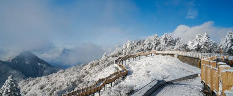 西林雪山网上没买到票怎么办