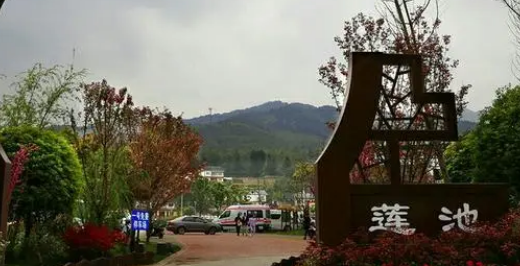 莲池区南沟头村拆迁吗