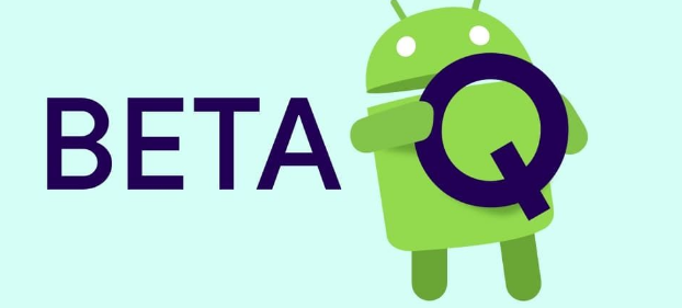 beta信息素有味道吗
