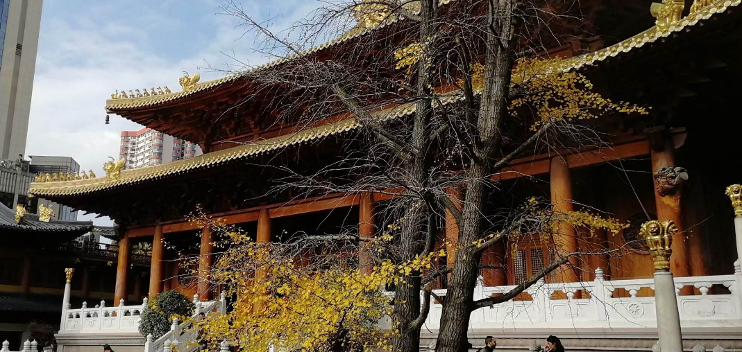 静安寺小朋友需要门票吗