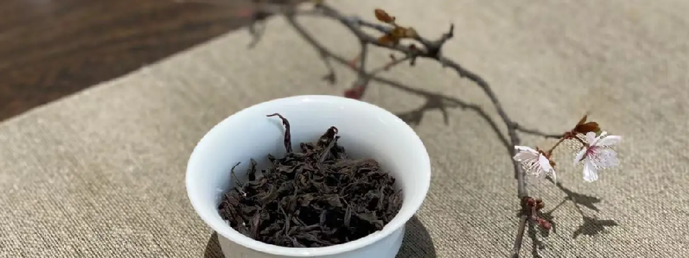 向天梅是红茶吗