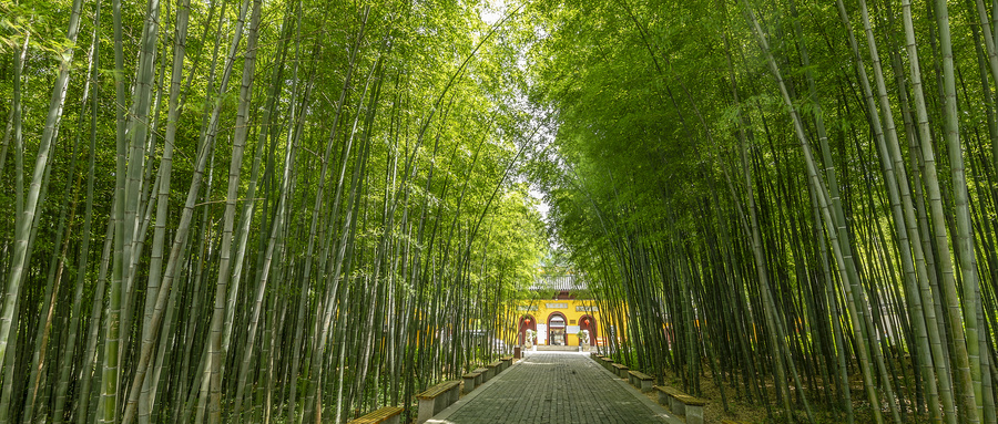 心有星河,未来可期什么意思