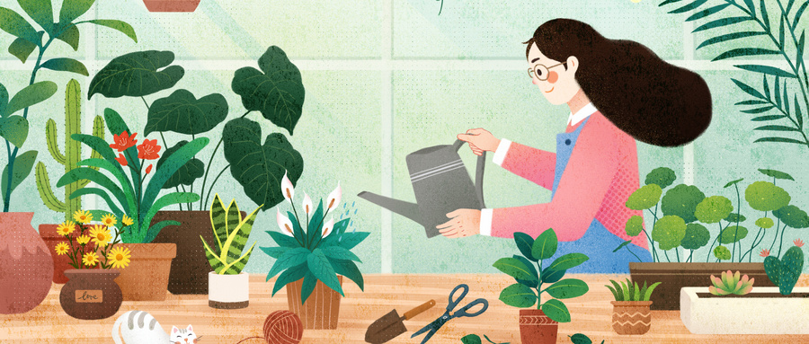 种草是什么意思