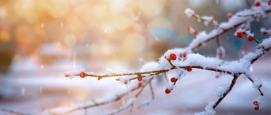 雪落下的声音歌词