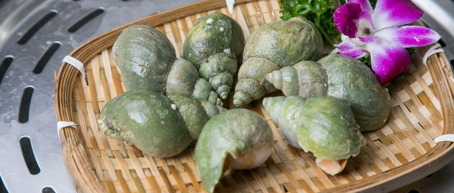 福寿螺和田螺的区别