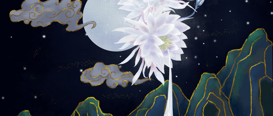 昙花一现是什么意思，用昙花一现造句