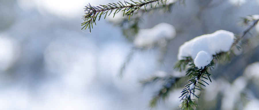 程门立雪的主人公和相关故事