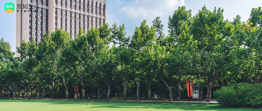 启东到东南大学怎么乘车