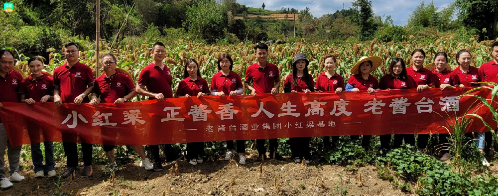 茅台镇哪些酒厂有高粱基地？茅台镇的高粱哪里产的