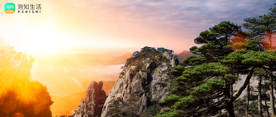 阴历五月二十泰山什么节