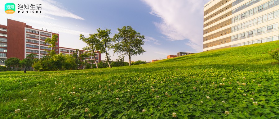 西安石油大学和西华大学哪个好