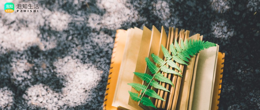 对老师怀念的文章,师生之情溢于言表什么意思