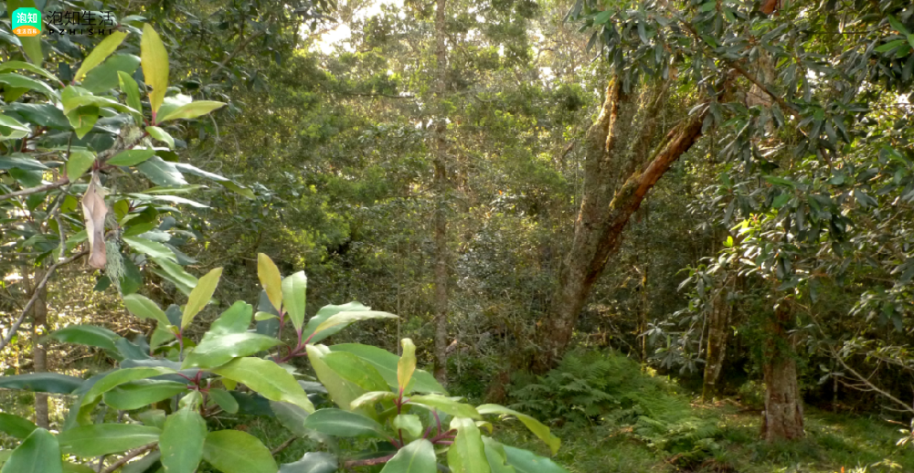 北方40度六楼有湿气吗