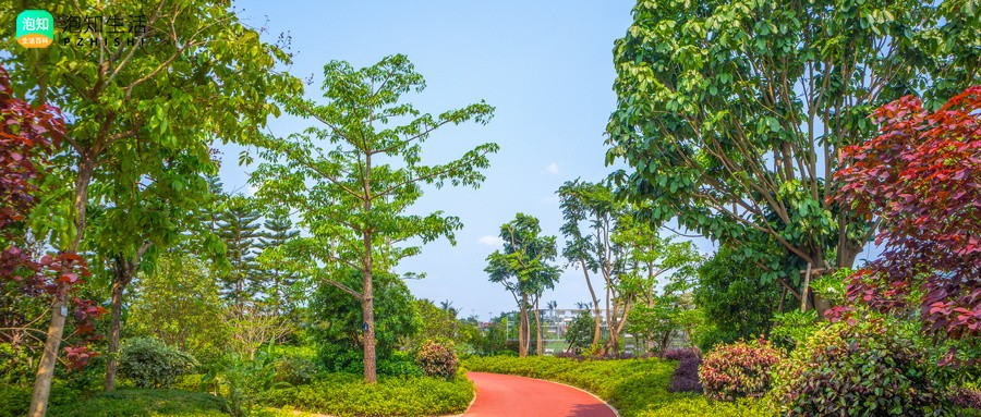 李七庄公园还建吗