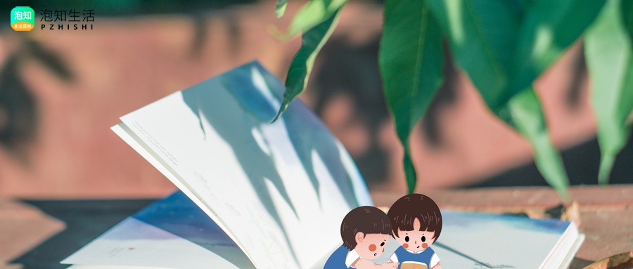 我当算命先生那几年有女主吗