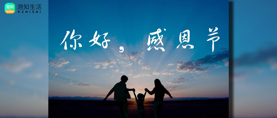 无怨无悔不离不弃下一句
