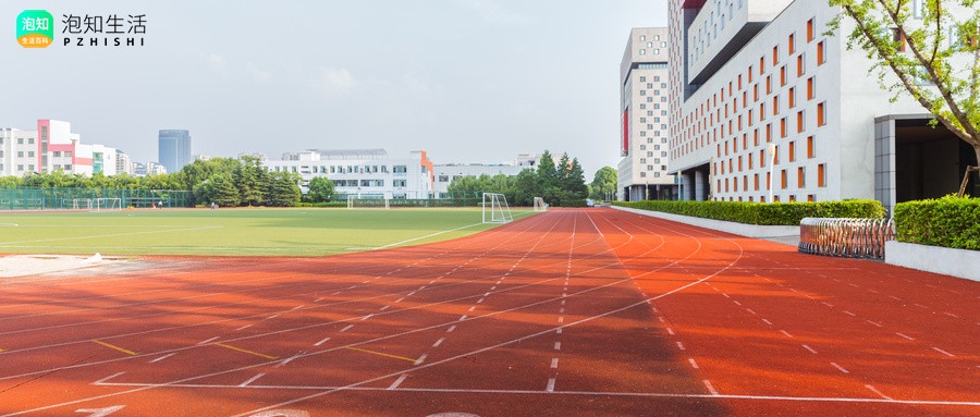 麦克马斯特大学离多伦多大学多远