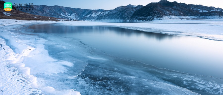 老雪狼是一个怎样的人