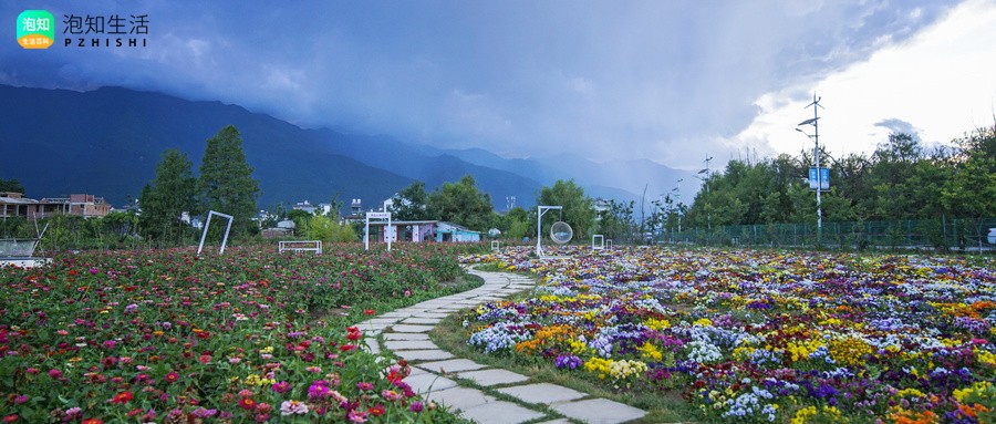 繁花似锦是什么意思