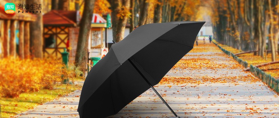 自动折叠雨伞成本有哪些方面构成的