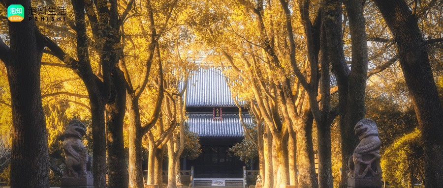 刚去世的人可以在寺庙挂白牌吗？人死后在寺庙摆牌位是什么意思